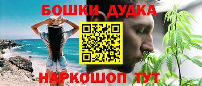 гидра Ставрополь