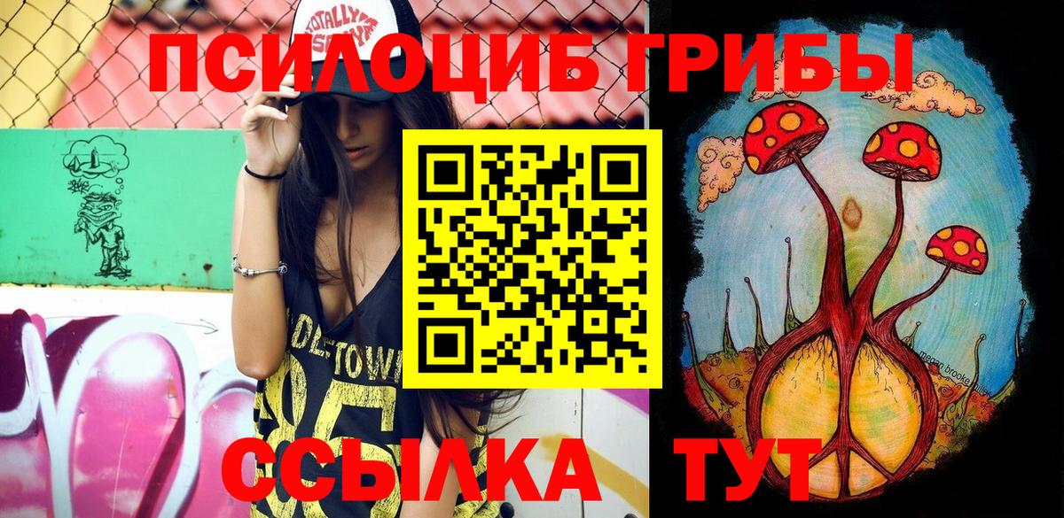 Псилоцибиновые грибы Cubensis  Вход с VPN  Брянск 