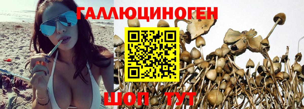 Галлюциногенные грибы ЛСД Брянск